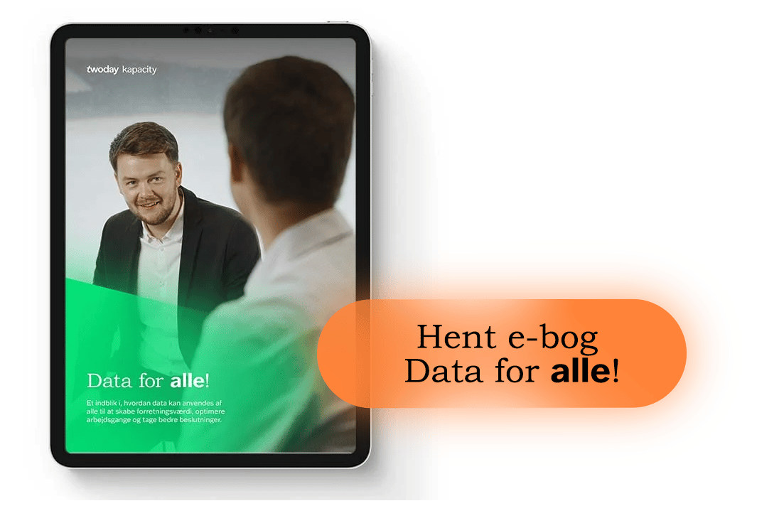 Ebog_dataerforalle1