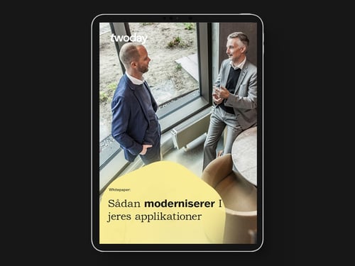 Whitepaper-henvisning