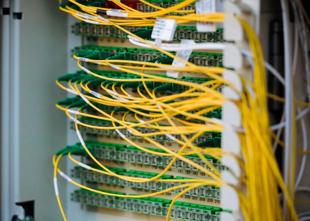 Cables_in_a_rack_TWO_00012