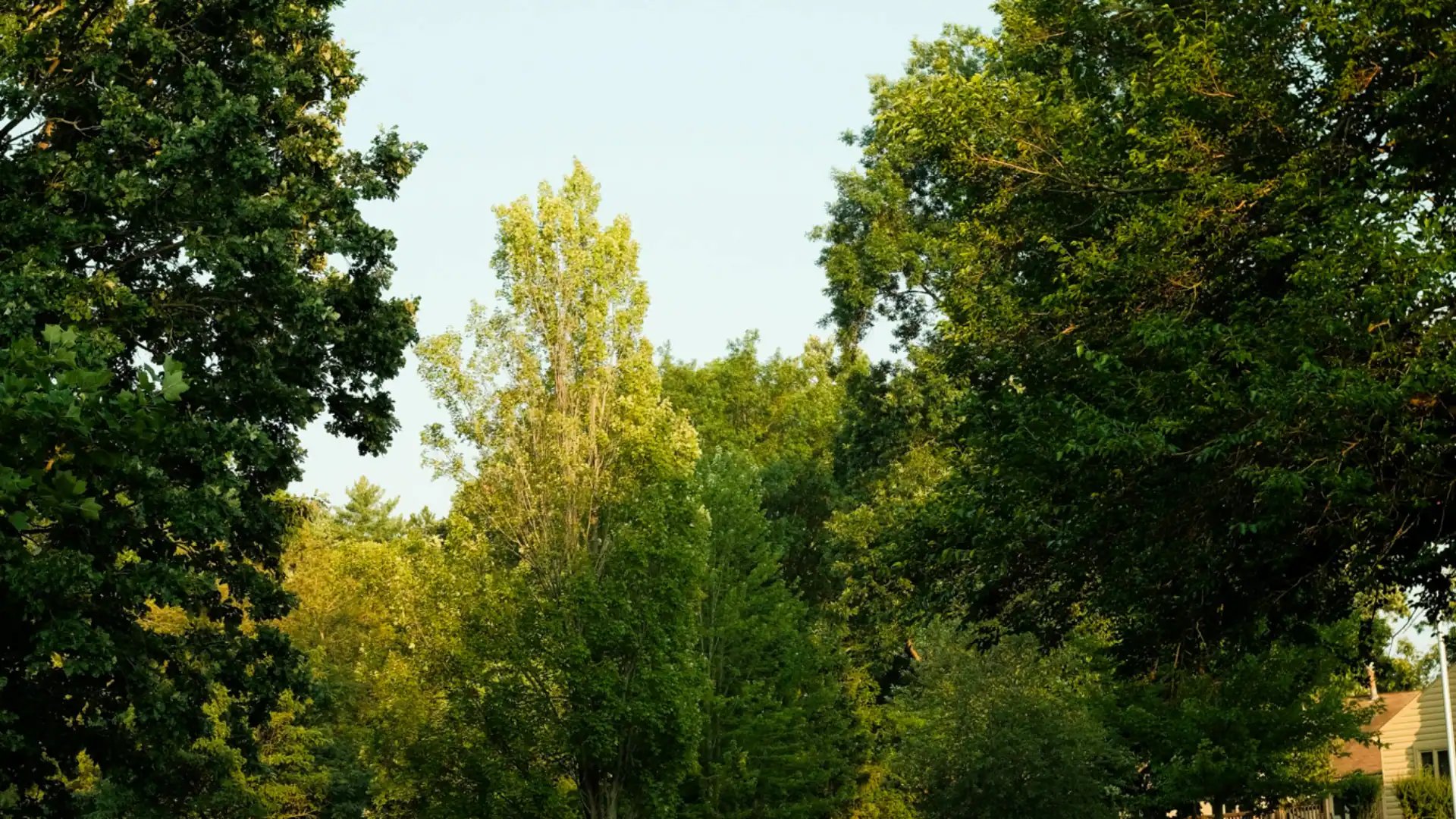 Park_in_the_sun_TWO_00019