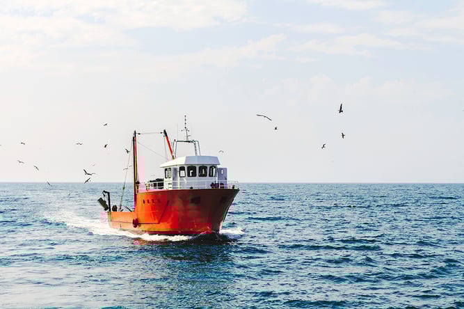 New twoday solution: Making fishing more sustainable