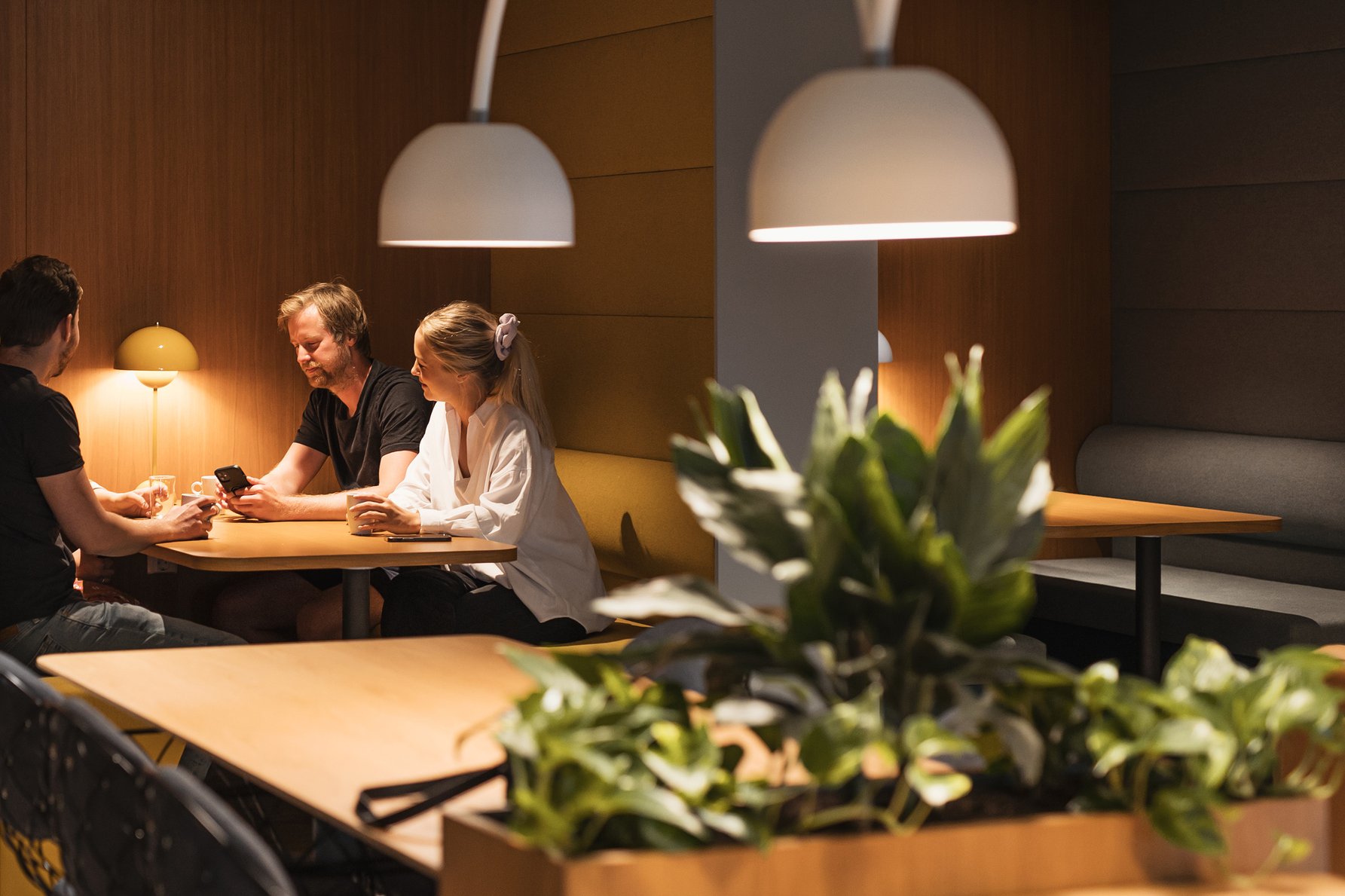 Exploring the world of hive jumping