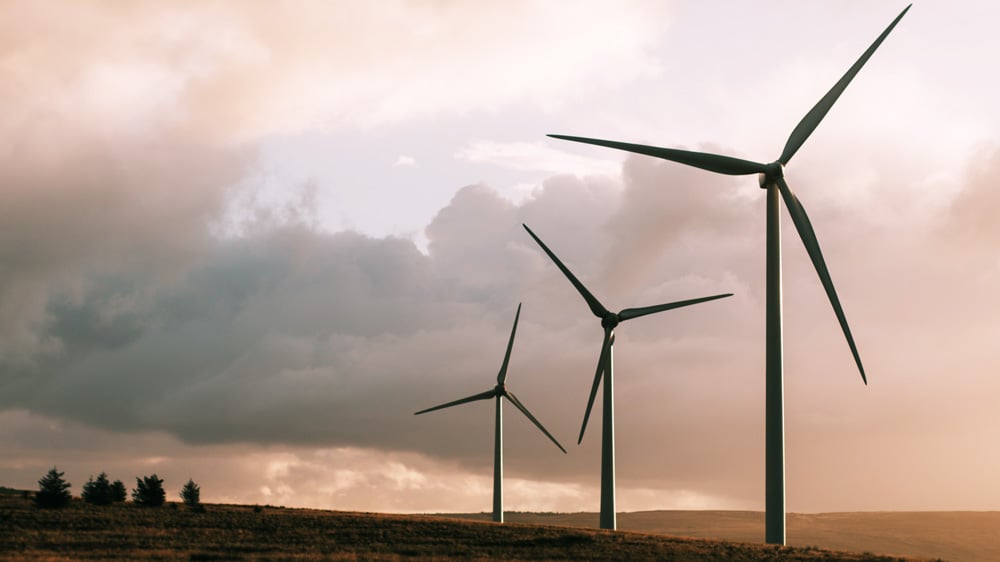pexels-windmills-2181904